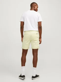 Regular Fit Chino shorts